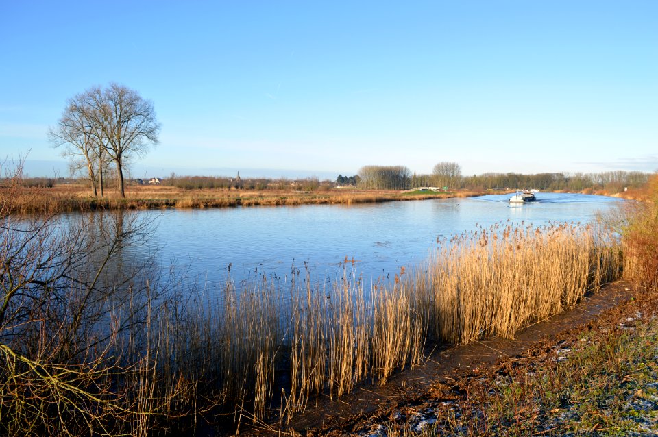 Bergenmeersen, Schelde en Paardeweide