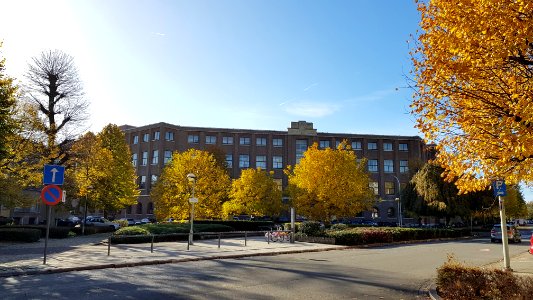 Borgerhout-Xaveriuscollege (5)