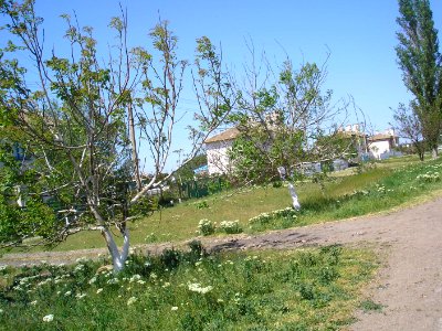 Borodino (Crimea) 4