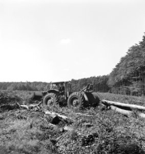 Bosbewerking, boomstammen, landbouwmachines, werktuigen, arbeiders, sleepwerkzaa, Bestanddeelnr 253-5871