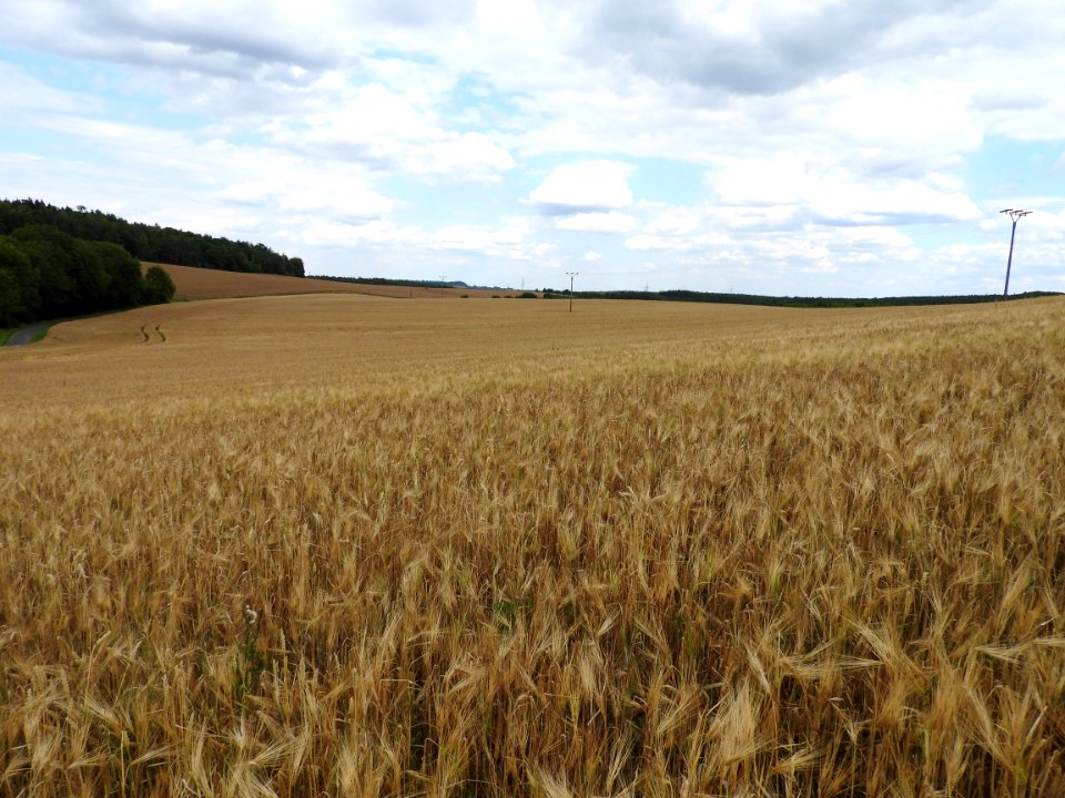 Bergern, Reinstädt 03