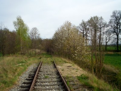 Borow disused track