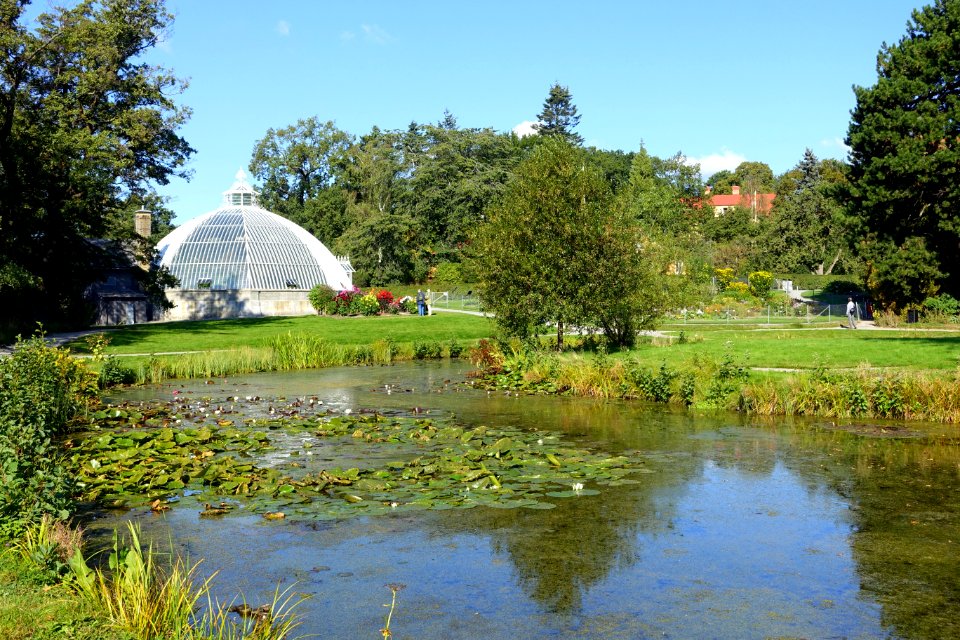Bergianska trädgården - Stockholm, Sweden - DSC00118