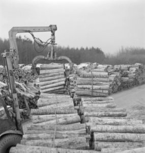 Boomstammen, houtopslagplaatsen, takels, Bestanddeelnr 253-5477