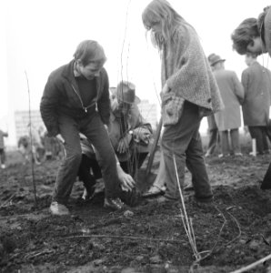 Boomplantdag op hoek Pieter Callandlaan , wethouder Tabak helpt twee kinderen me, Bestanddeelnr 917-6198