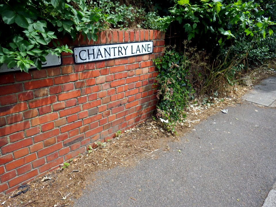 Benchmark, Wall, Chantry Lane, Bexhill (2)