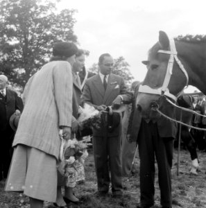 Belangstelling van koningin Juliana en Prinses Beatrix voor het bekroonde paard, Bestanddeelnr 908-9039