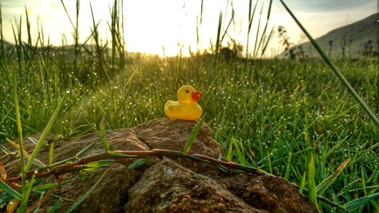 Sunrise sunlight stone