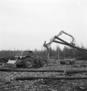 Bosbewerking, landbouwmachines, werktuigen, arbeiders, boomstammen, aanhangers, , Bestanddeelnr 253-5675