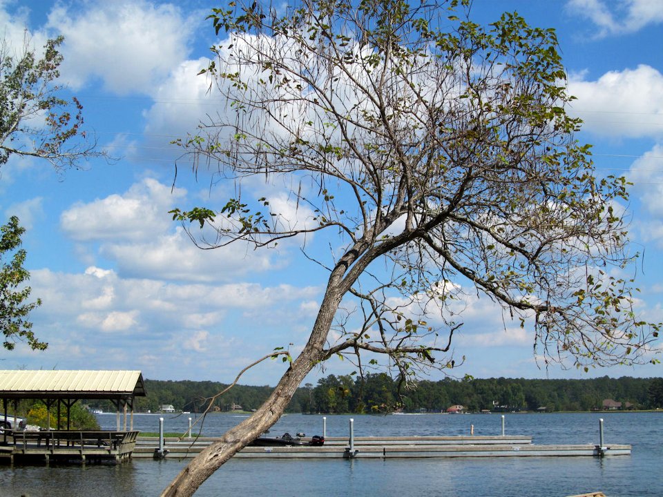 Bonners Point Holtville, Alabama