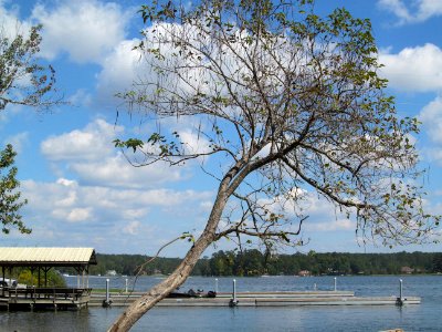Bonners Point Holtville, Alabama