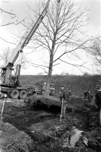 Bomen, kanalen, hijskranen, Bestanddeelnr 923-4331