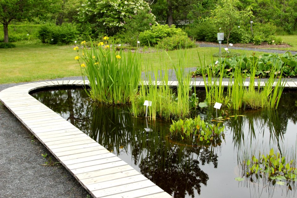 Botanical Gardens of Oulu University 20130623 02