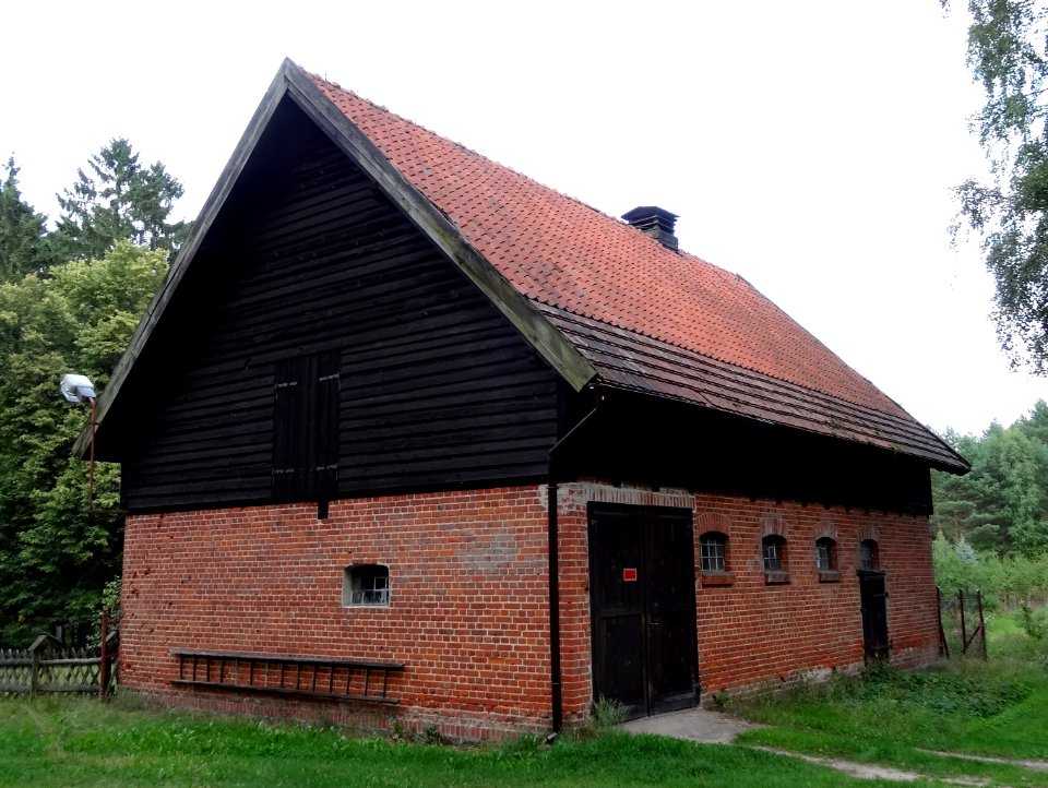 Bory Tucholskie Drzewicz 4 08-2013