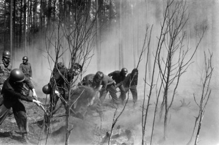 Bosbrand bij Arnhem, militairen tijdens het blussen, Bestanddeelnr 928-6813