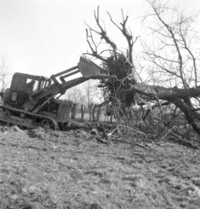 Bomen, machines, werktuigen, arbeiders, werkzaamheden, Bestanddeelnr 251-8692