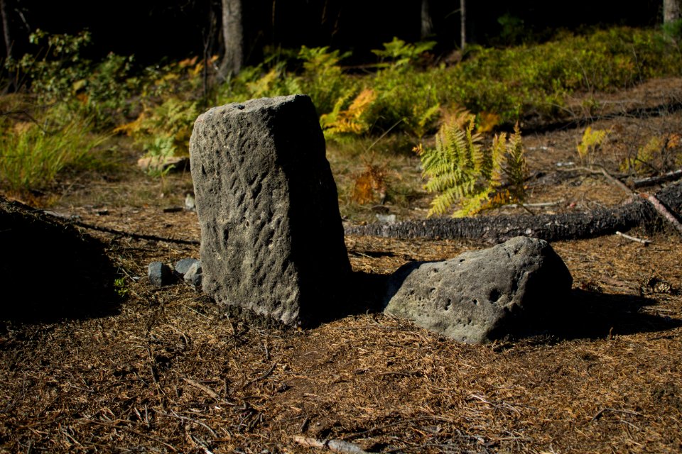 Boundary stone in Arnoltice 2