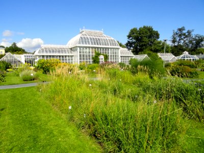 Botanical Garden in Kaisaniemi - DSC03542