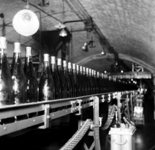 Bottelarij de flessen wijn op de lopende band zijn gebotteld en voorzien van ee, Bestanddeelnr 252-9437