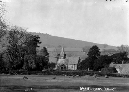 Bucknell church "spring" (1293368)