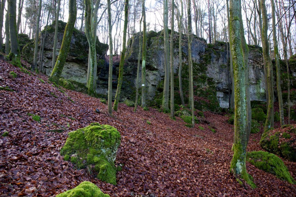 Cäciliengrotte bei Hirschbach (A 9) 002