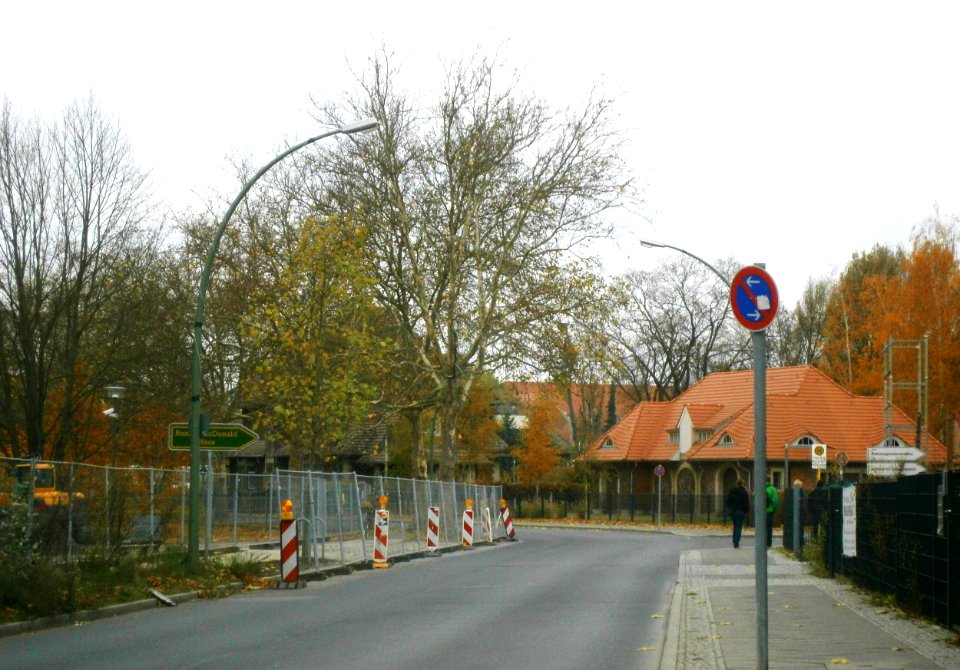 Buch Lindenberger Weg