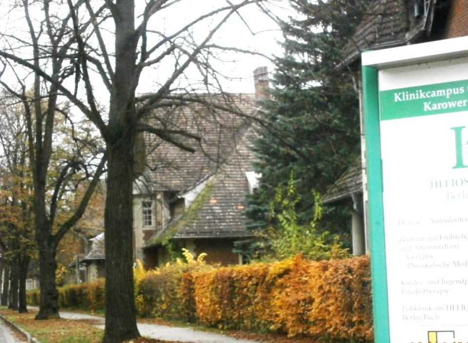 Buch Karower Straße seitw1