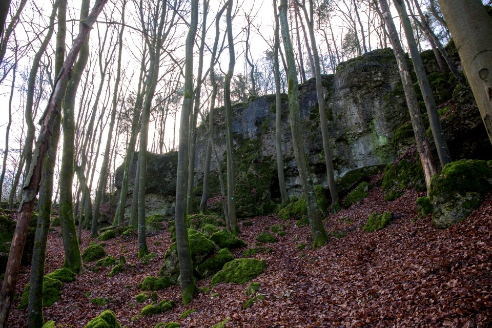 Cäciliengrotte bei Hirschbach (A 9) 001