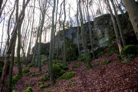 Cäciliengrotte bei Hirschbach (A 9) 001