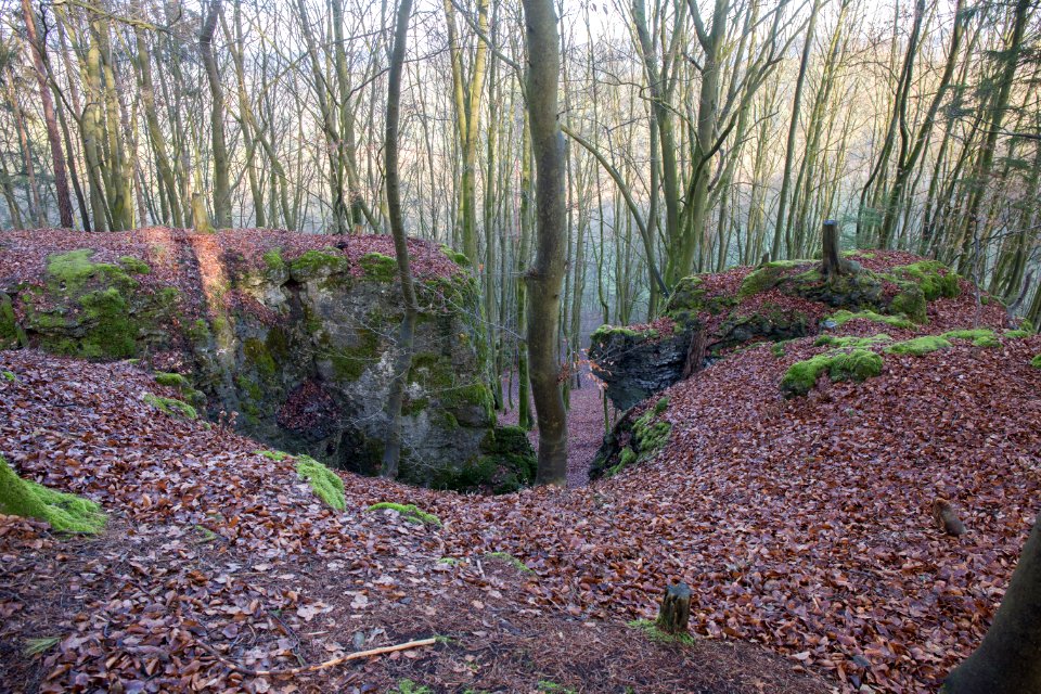 Cäciliengrotte bei Hirschbach (A 9) 018