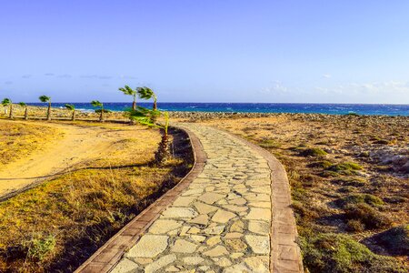 Coastal path palm trees horizon photo
