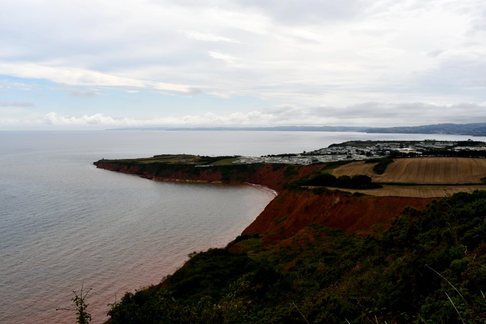 Budleigh Salterton (2020-08-16) 89
