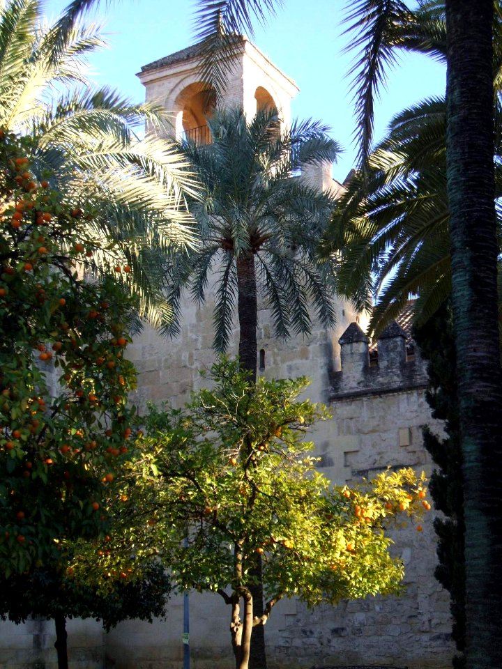 Córdoba - Alcázar de los Reyes Cristianos 01