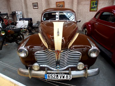 Buick Eight (brown white) pic1