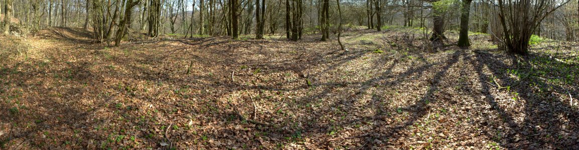Burgstall Trossberg09