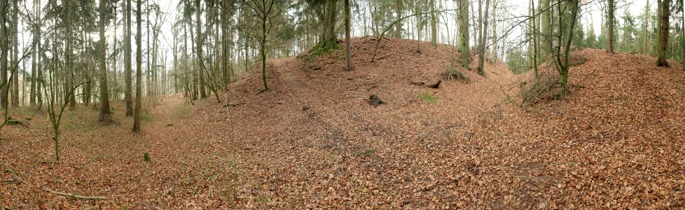 Burgstall Stauf19