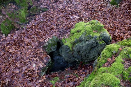 Cäciliengrotte bei Hirschbach (A 9) 016