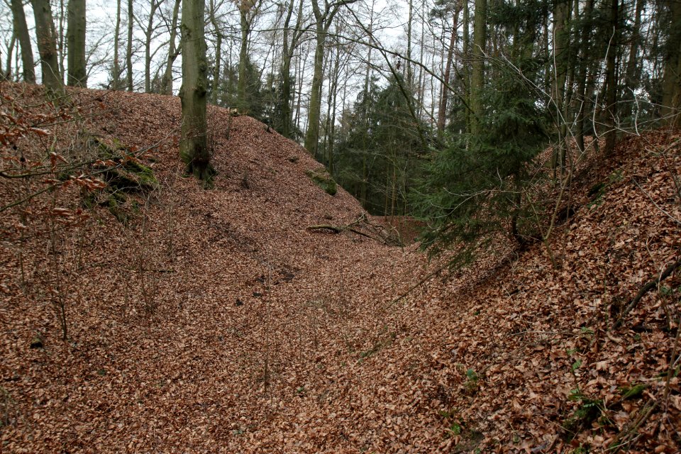 Burgstall Stauf01