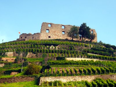 Burg in Staufen im Breisgau, pic2