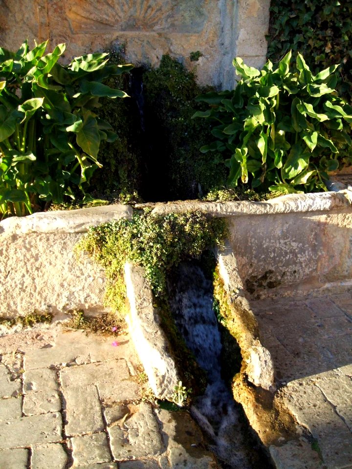 Córdoba - Alcázar de los Reyes Cristianos 04