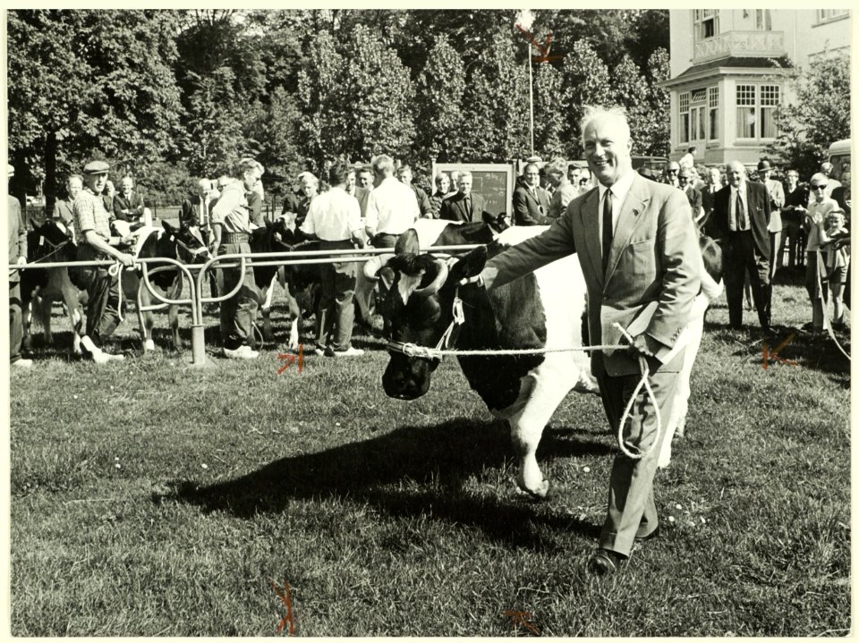 Burgemeester Mr. P.O.F.M. Cremers opent de Fokveetentoonstelling, NL-HlmNHA 5400465322