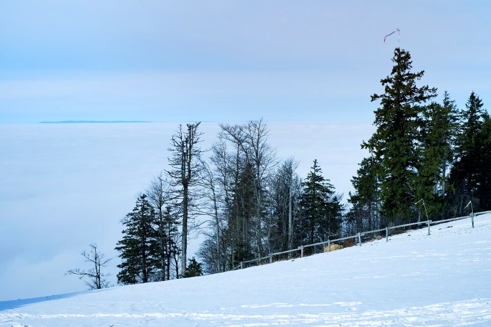Winter mist rising fog