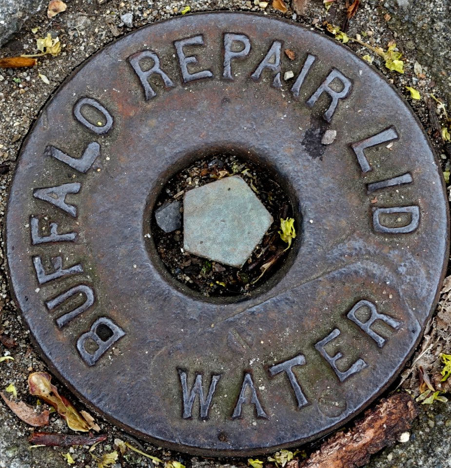 Buffalo Repair Lid Water - Arlington, MA - DSC01178