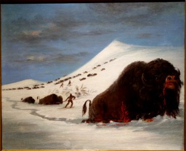 Buffalo Hunt in Snow Shoes by George Catlin, undated, oil on canvas - New Britain Museum of American Art - DSC09169