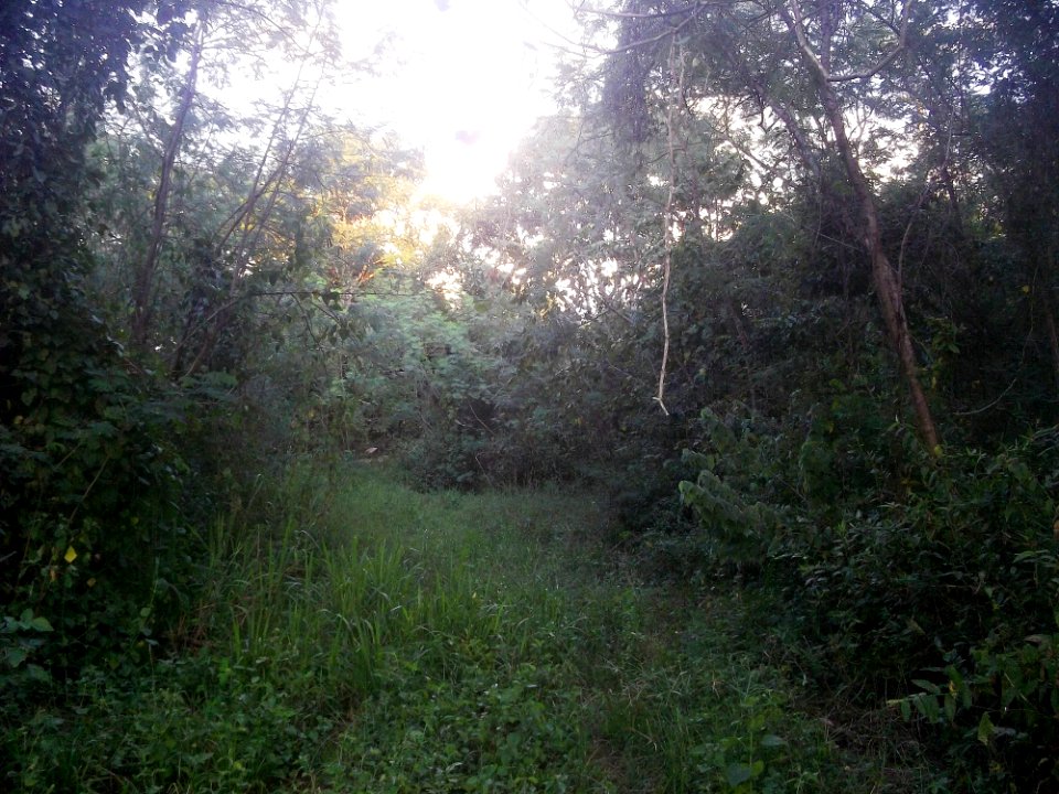 Buenavista (Hocabá), Yucatán (02)