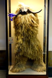 Buffalo mask and costume - Tabwa - Royal Museum for Central Africa - DSC06102