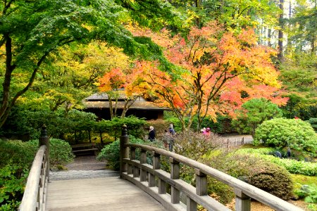 Bridge - Portland Japanese Garden - Portland, Oregon - DSC08265