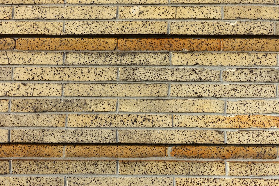 Bricks - Cambridge, MA - DSC02444