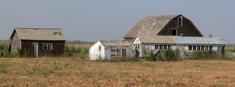Brenstrom farmstead (Phelps Co, Nebraska) 2
