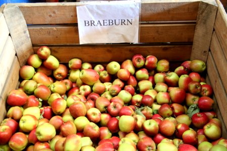 Braeburn Gelsdorf 1